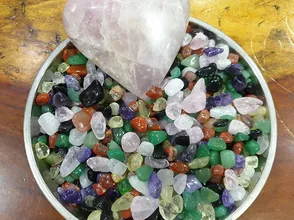 Cattle shale caskets