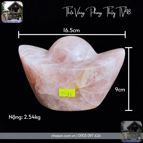 Thỏi vàng phong thủy TV48 nặng 2.54kg, dài 16.5cm x rộng 11cm x cao 9cm