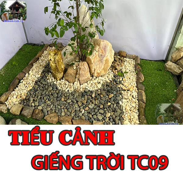 Trang trí tiểu cảnh giếng trời bằng đá phong thủy tăng phúc khí TC09