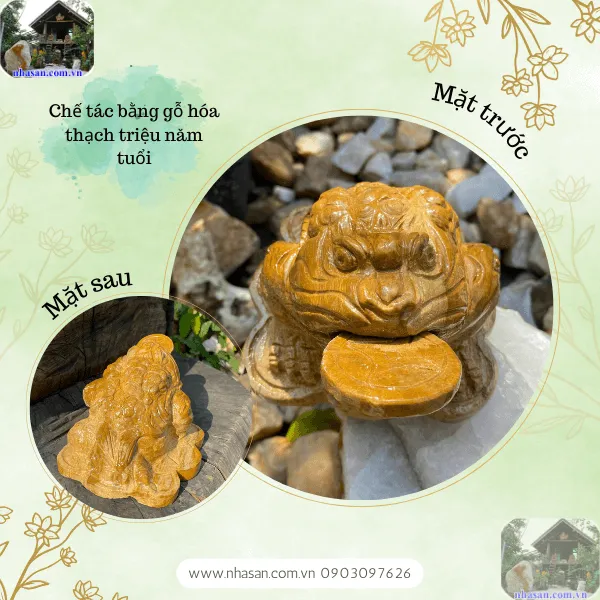 Cóc thiềm thừ gỗ hóa thạch - Linh vật kéo tài lộc, giữ tài vận