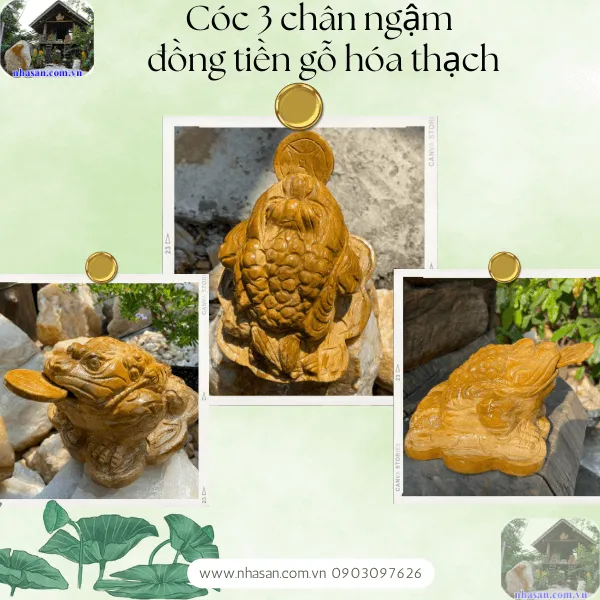 Cóc thiềm thừ gỗ hóa thạch - Linh vật kéo tài lộc, giữ tài vận