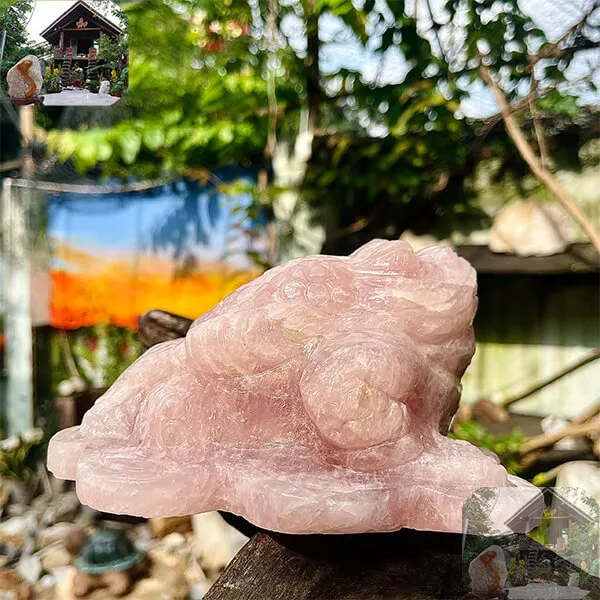 Cóc ba chân thạch anh hồng 2.3kg-C12