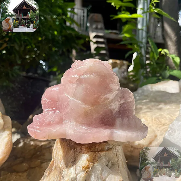 Cóc ba chân thạch anh hồng 2.3kg-C12