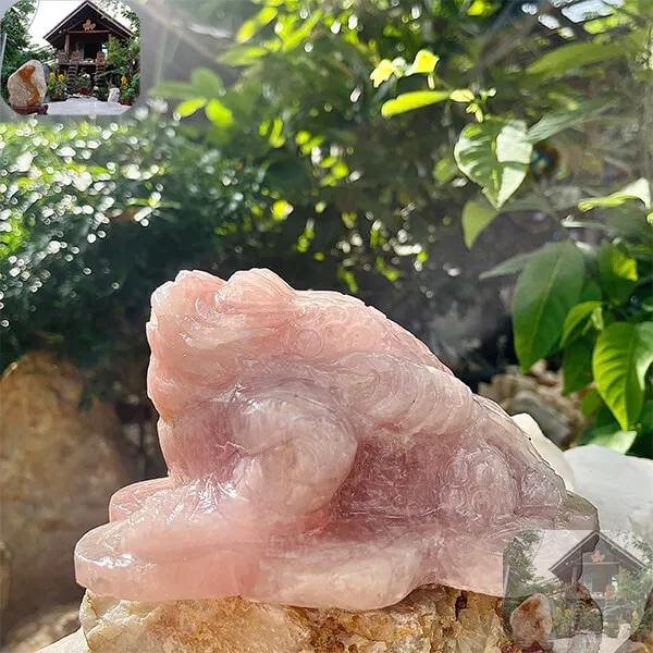 Cóc ba chân thạch anh hồng 2.3kg-C12