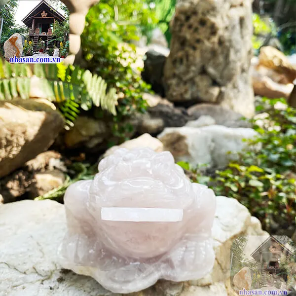 Cóc ba chân thạch anh hồng 1.48kg-C3C