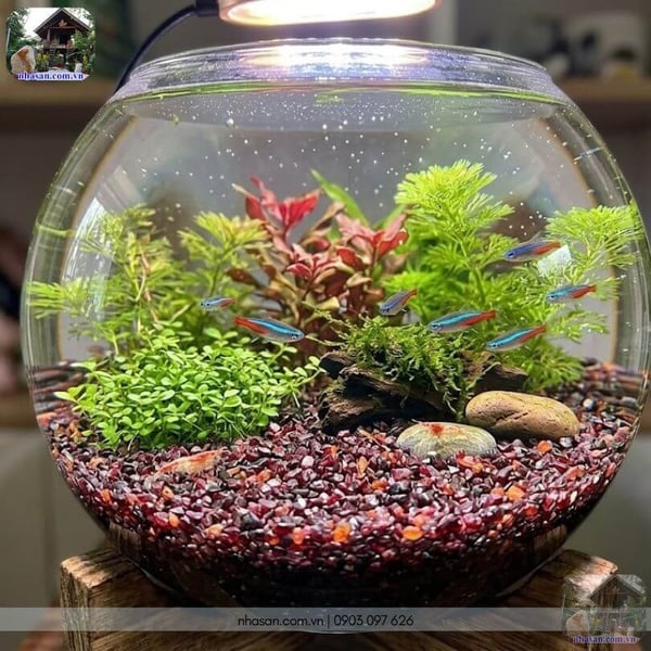 Đá Garnet vụn (Ngọc Hồng Lựu) tự nhiên – Năng lượng đỏ hóa giải hàn khí, tăng địa khí cho ngôi nhà