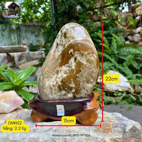 STONE MARRIAGE DMN52