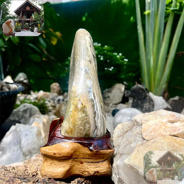 STONE MARRIAGE DMN52