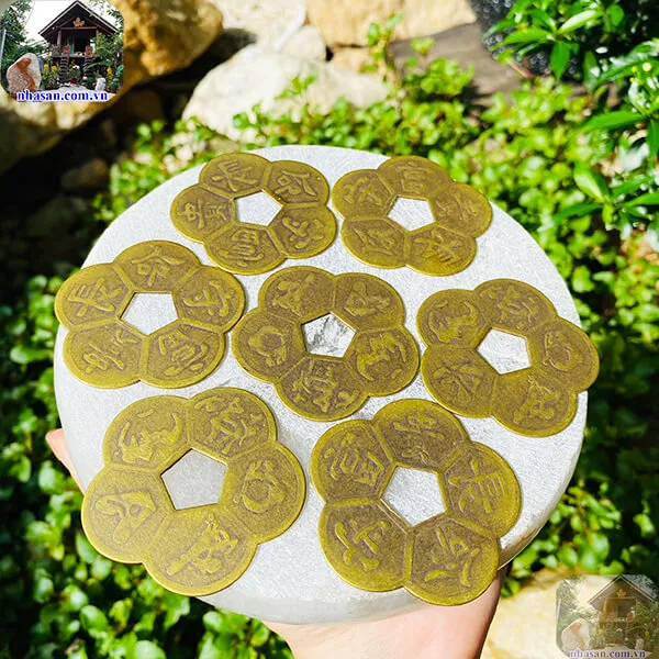 ĐỒNG TIỀN XU HOA MAI 5 CÁNH