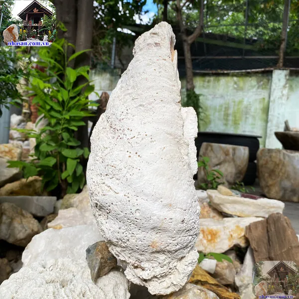 Vỏ sò tai tượng hóa ngọc 9.8kg (34x26 cm) món quà quý giá từ biển cả