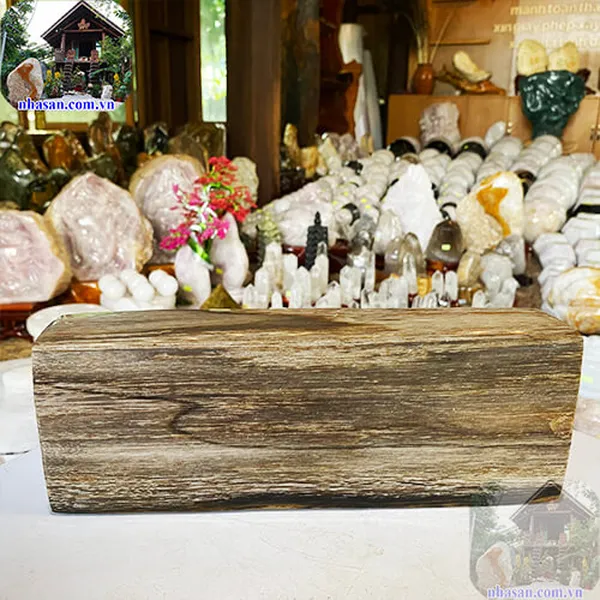 Khúc gỗ hóa thạch 3.6kg-GHT61