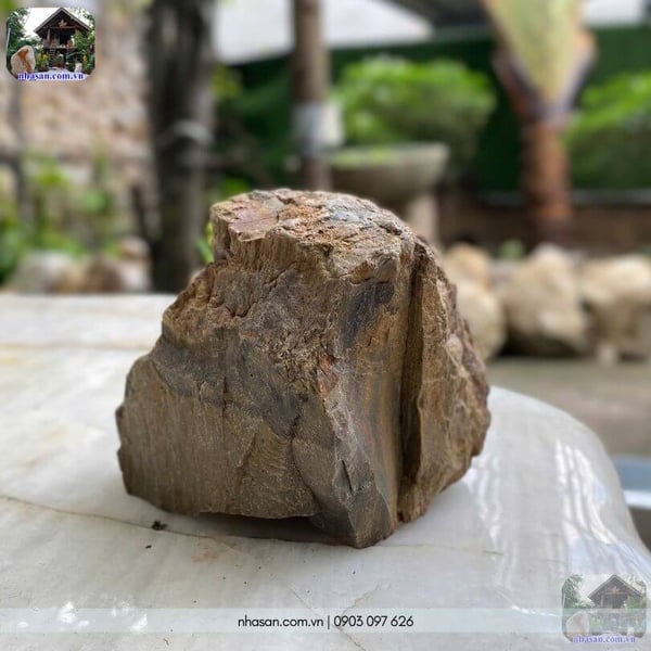 Khối gỗ hóa thạch thô HTT01 nặng 2.5kg decor vườn Zen mini