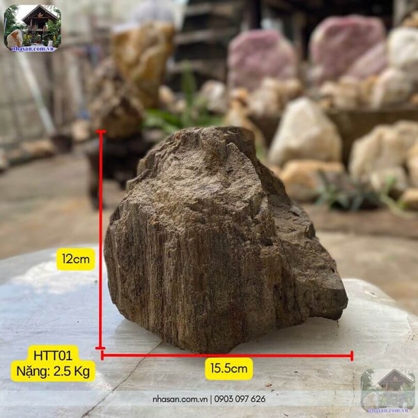 Khối gỗ hóa thạch thô HTT01 nặng 2.5kg decor vườn Zen mini