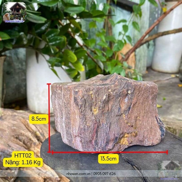 Khối gỗ hóa thạch thô HTT02 nặng 1.16kg decor bàn trà, góc thiền