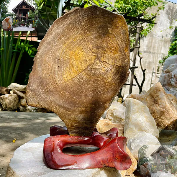 Trụ gỗ hóa thạch tự nhiên 7.5kg -  Vẻ đẹp của thiên nhiên qua hàng triệu năm