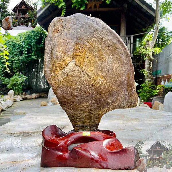 Trụ gỗ hóa thạch tự nhiên 7.5kg -  Vẻ đẹp của thiên nhiên qua hàng triệu năm
