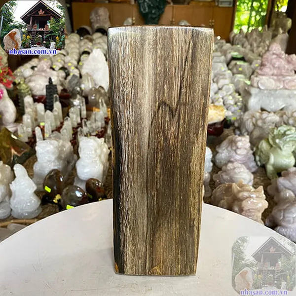Khúc gỗ hóa thạch 3.6kg-GHT61