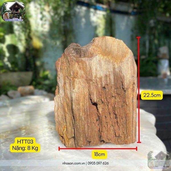 Khối gỗ hóa thạch thô HTT03 - 8kg vẻ đẹp nguyên bản trải qua triệu năm