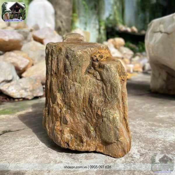 Khối gỗ hóa thạch thô HTT04 - 10.5kg hơi thở triệu năm và triết lý thiền định
