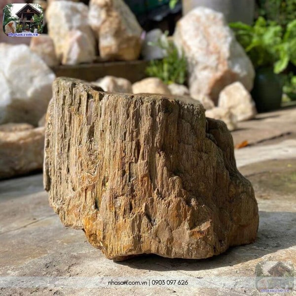 Khối gỗ hóa thạch thô HTT04 - 10.5kg hơi thở triệu năm và triết lý thiền định