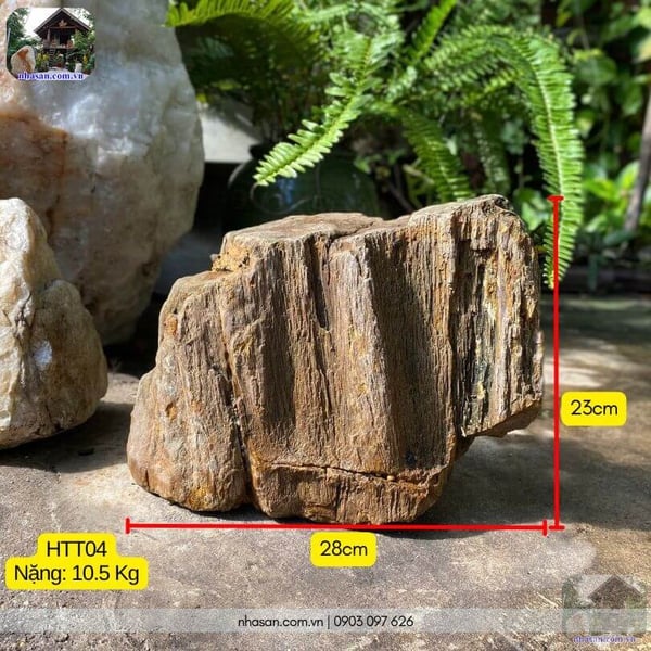 Khối gỗ hóa thạch thô HTT04 - 10.5kg hơi thở triệu năm và triết lý thiền định