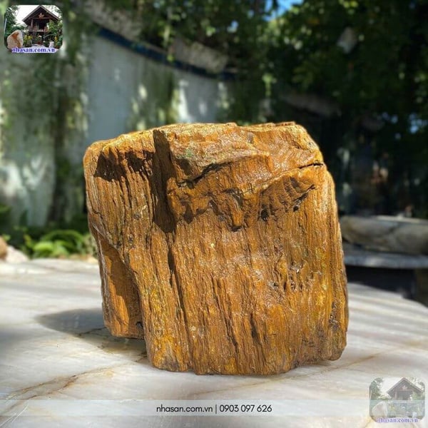 Đá gỗ hoá thạch thô HTT05 - 13.5kg decor không gian sống đẳng cấp