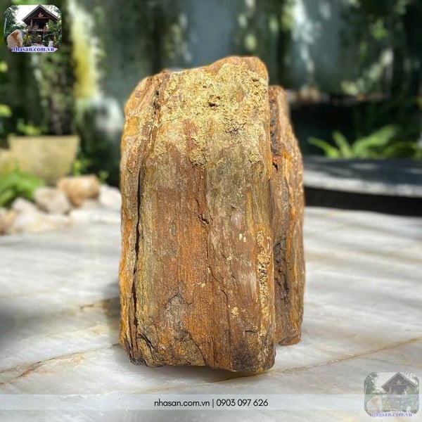 Đá gỗ hoá thạch thô HTT05 - 13.5kg decor không gian sống đẳng cấp