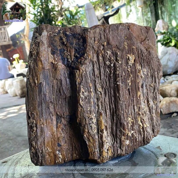 Đá gỗ hoá thạch thô HTT05 - 13.5kg decor không gian sống đẳng cấp