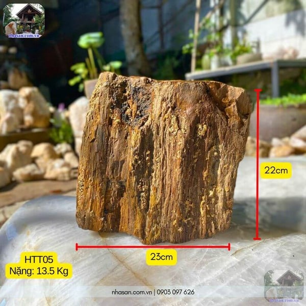 Đá gỗ hoá thạch thô HTT05 - 13.5kg decor không gian sống đẳng cấp
