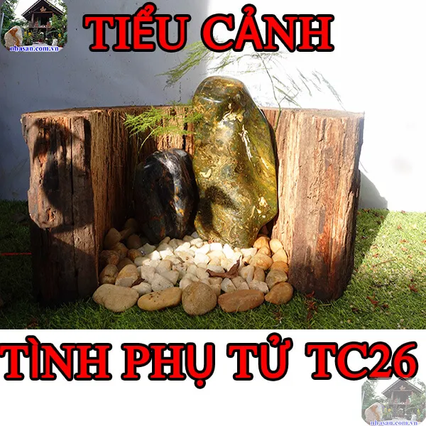 Tiểu cảnh đá phong thủy tình phụ tử thiêng liêng TC26