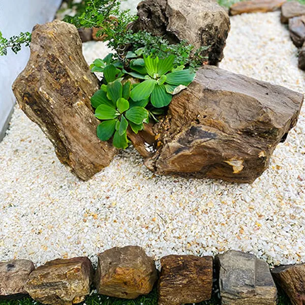 Tiểu cảnh giếng trời nhà ống đá phong thủy TC38