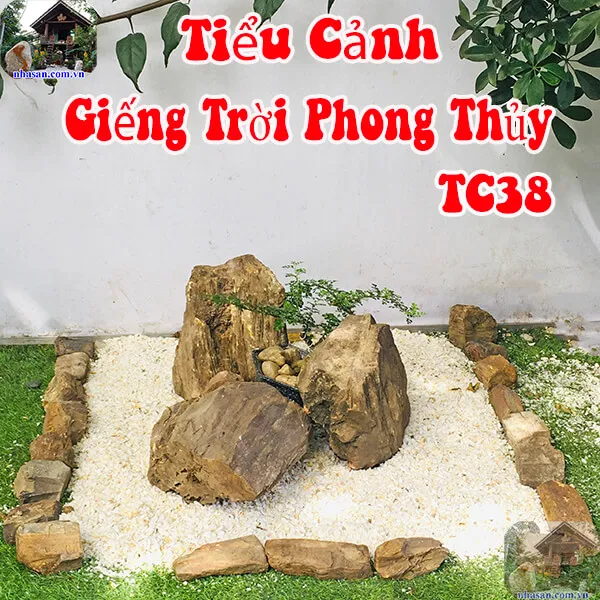 Tiểu cảnh giếng trời nhà ống đá phong thủy TC38