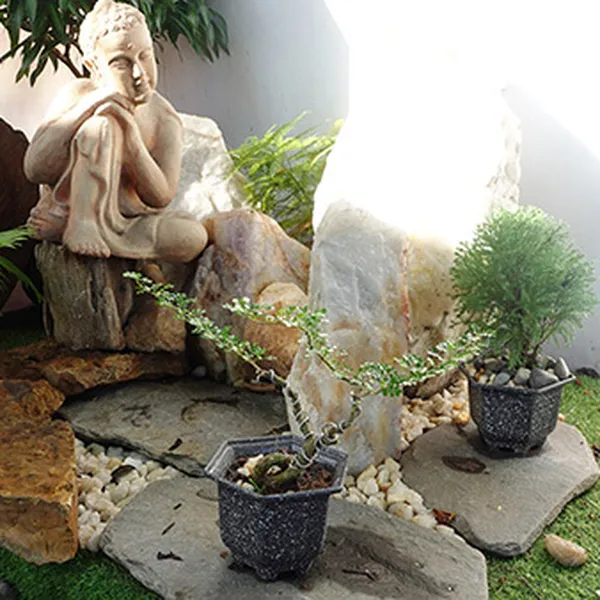 Tiểu cảnh sân vườn theo phong thủy giúp hóa giải hung sát TC28