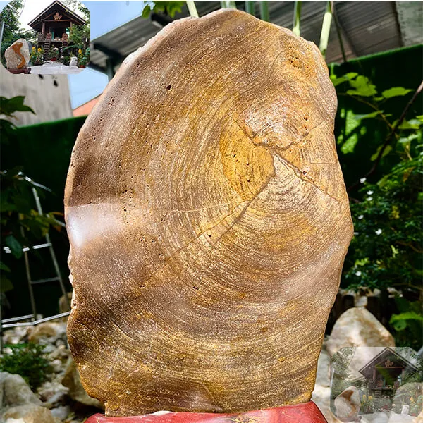 Trụ gỗ hóa thạch tự nhiên 8kg - Sản phẩm độc đáo, mang giá trị thẩm mỹ và phong thủy