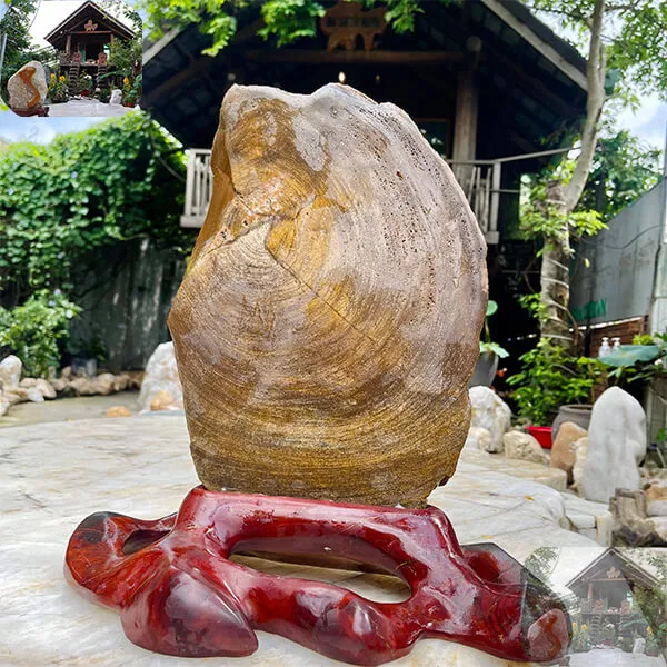 Trụ gỗ hóa thạch tự nhiên 8kg - Sản phẩm độc đáo, mang giá trị thẩm mỹ và phong thủy