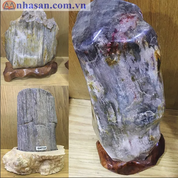 Bán Gỗ Hóa Thạch Giá giá rẻ - uy tín - chất lượng