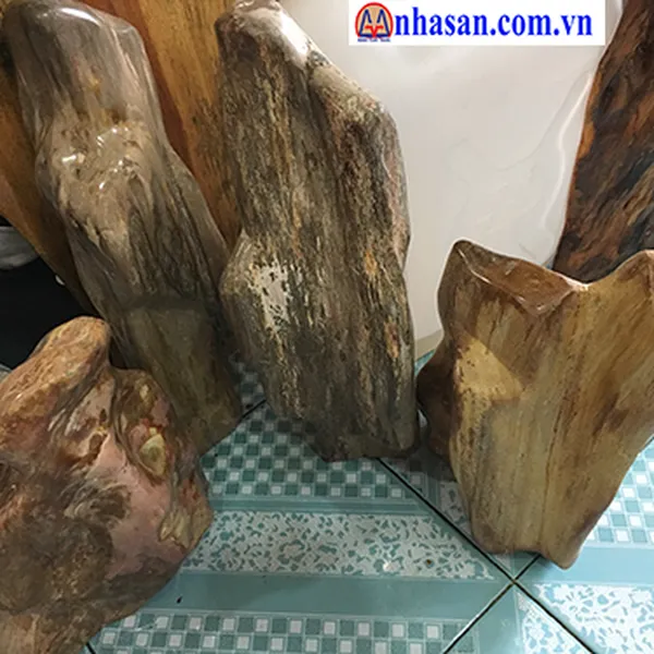 Công Dụng Gỗ Hóa Thạch