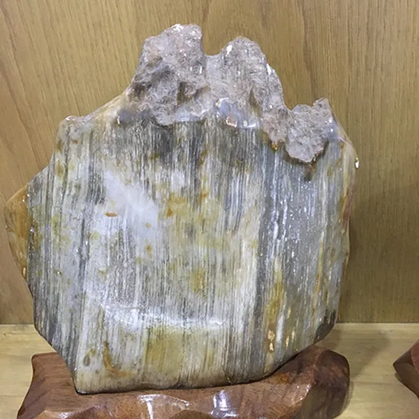 Đá gỗ hóa thạch GHT-04