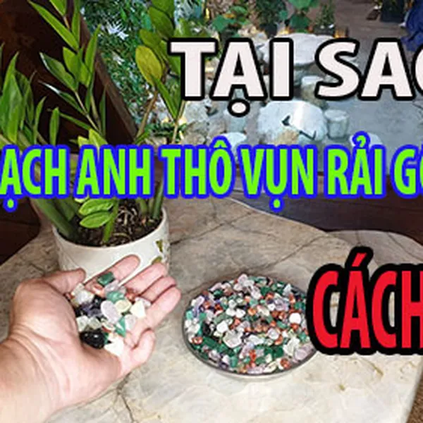 Đá thạch anh rải chậu cây