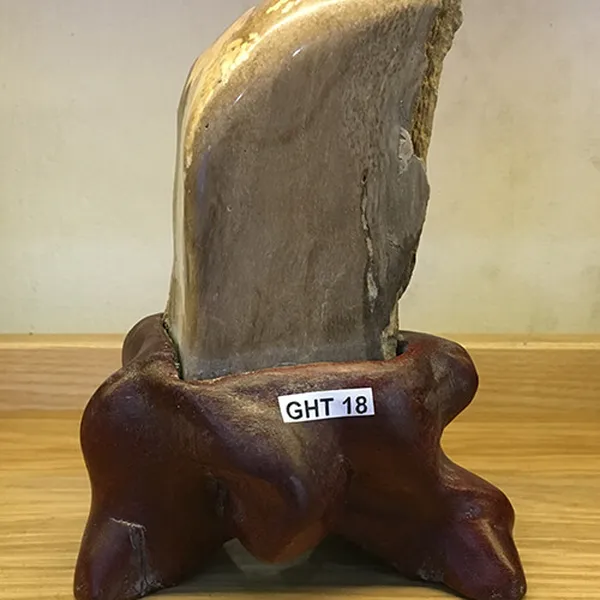 Trụ gỗ hóa thạch tự nhiên 1.1kg - Mẫu mã đa dạng, giá cả hợp lý