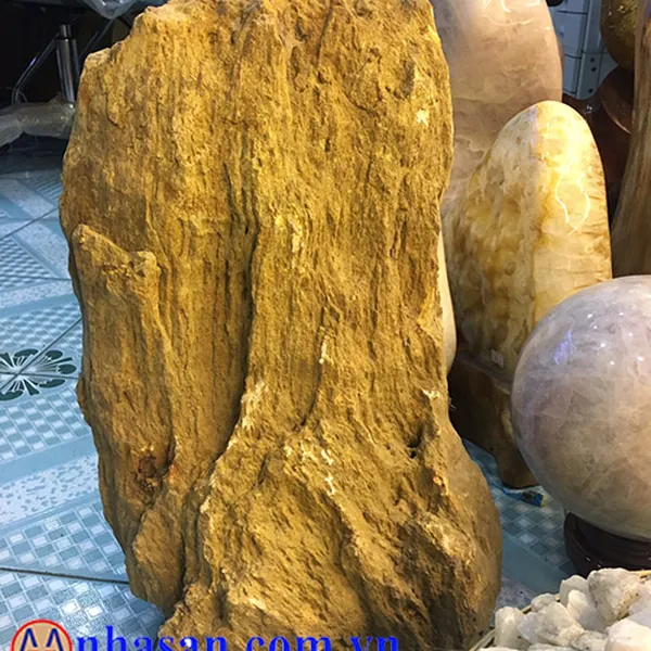 GỖ HÓA THẠCH GHT-29