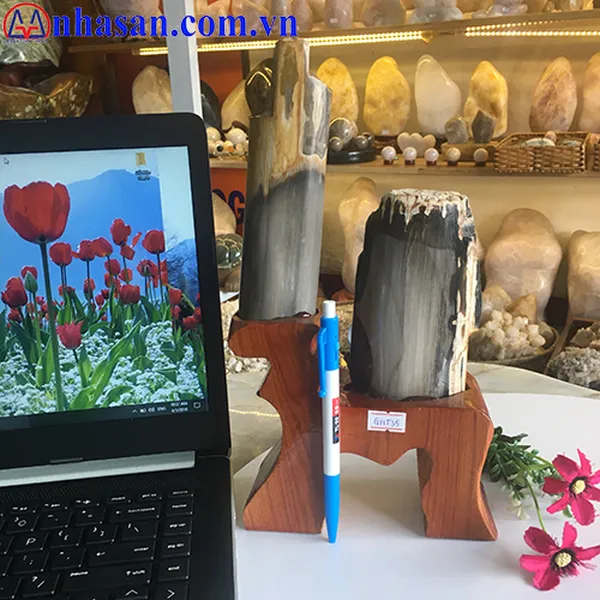 GỖ HÓA THẠCH GHT-35