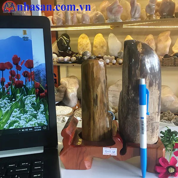 GỖ HÓA THẠCH GHT-38
