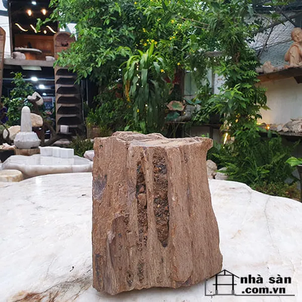 Gỗ hóa thạch thô thiên nhiên 16kg vẻ đẹp của thời gian