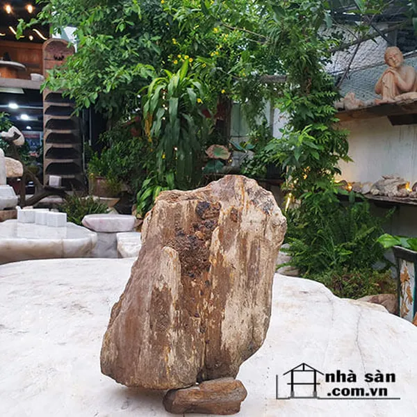 Gỗ hóa thạch thô 7.5kg - Vẻ đẹp của thiên nhiên trong từng vân gỗ