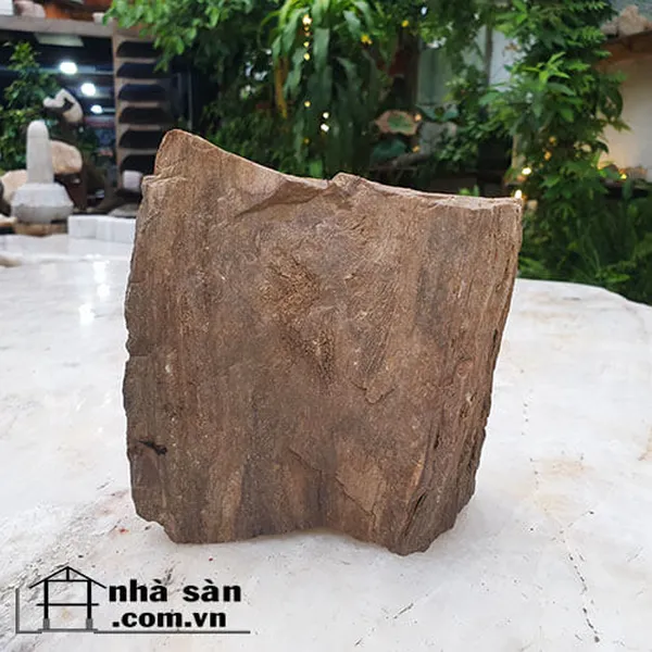 Đá gỗ hóa thạch thô tự nhiên 3kg - Vẻ đẹp độc đáo của thiên nhiên