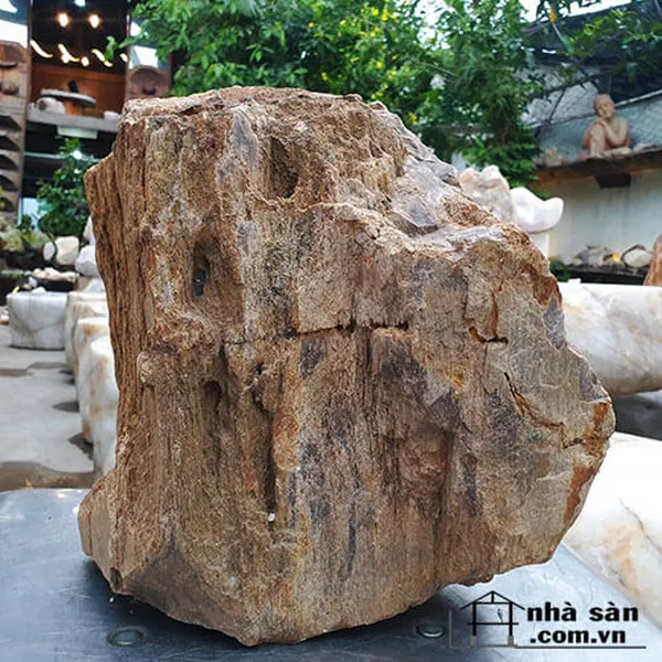 Gỗ hóa thạch thô 8.6kg đá trấn trạch