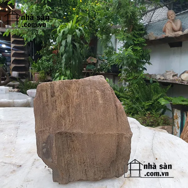 Gỗ hóa thạch thô trang trí 10.5kg Vật phẩm độc đáo mang vẻ đẹp ấn tượng