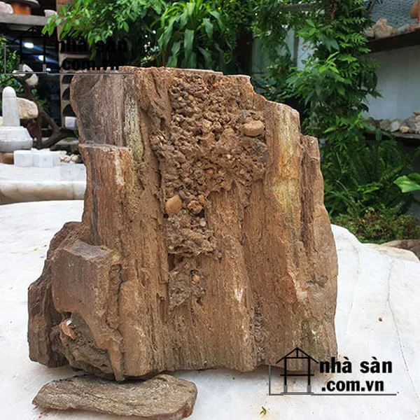 Khối gỗ hóa thạch thô trang trí 20kg Vẻ đẹp tự nhiên, kỳ bí
