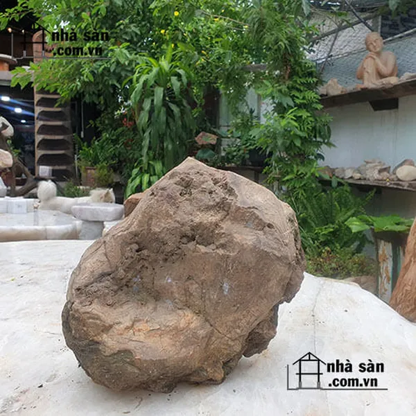 Gỗ hóa thạch thô chôn móng nhà 17kg - Biểu tượng của sự bền vững và thịnh vượng